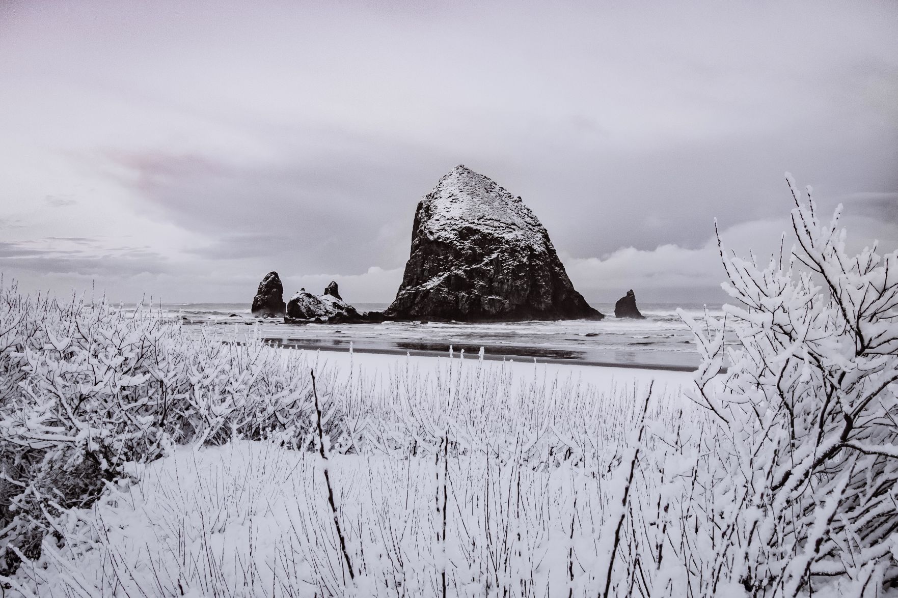 Haystack in the snow